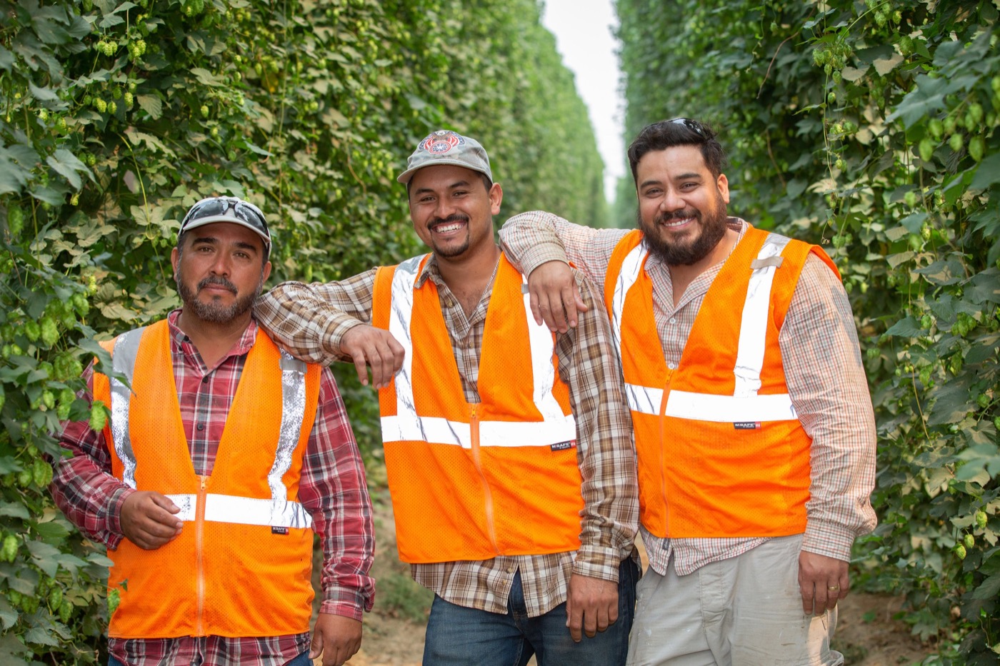 Seasonal crew on the job