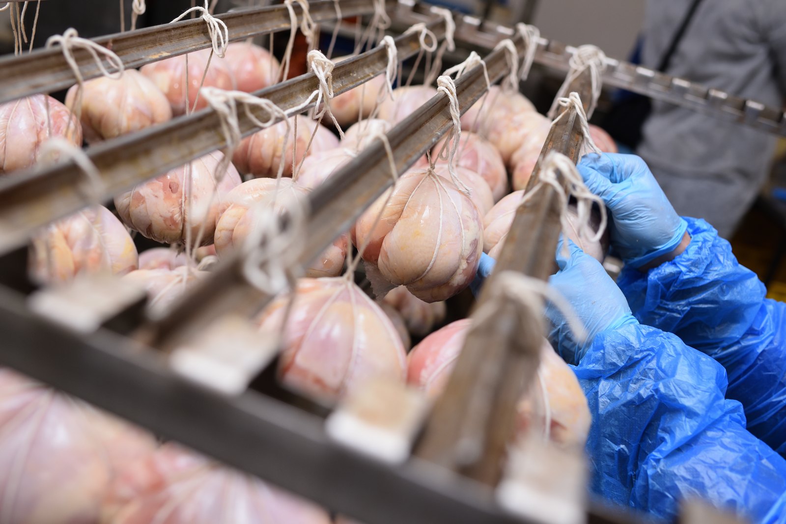 Seasonal Staffing for Meat and Poultry Processing