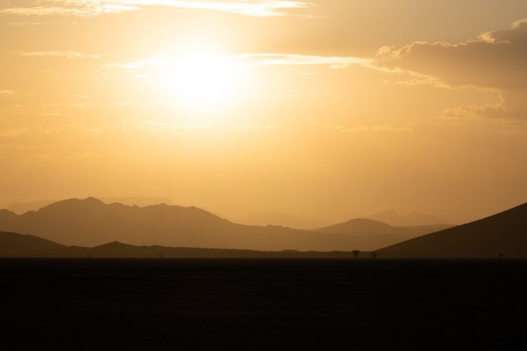 Protecting  H-2B and H-2A Workers from Heat Stress