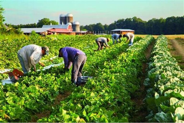 Common Questions from New H-2A Employers: English-speaking workers?