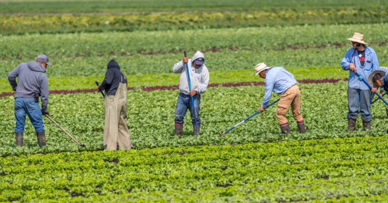 DOL Releases Final Rule on H-2A Worker Protections